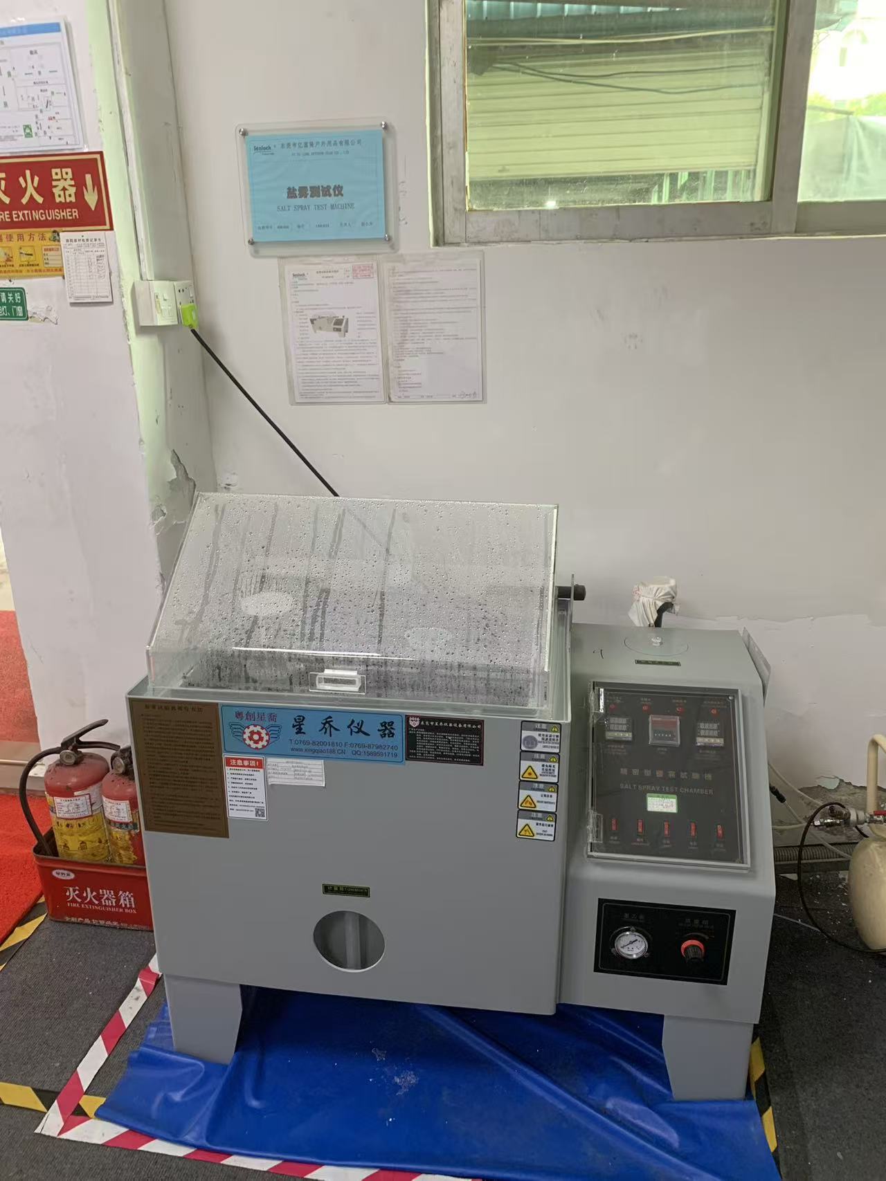 Bốn mươi tám giờ trong sương muối